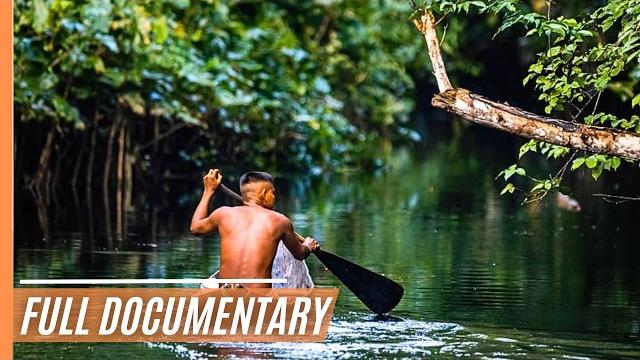 Amazonia under siege: raids in the rainforest | the fight for survival | full documentary Amazonia under siege: raids in the rainforest | the fight for survival | full documentary