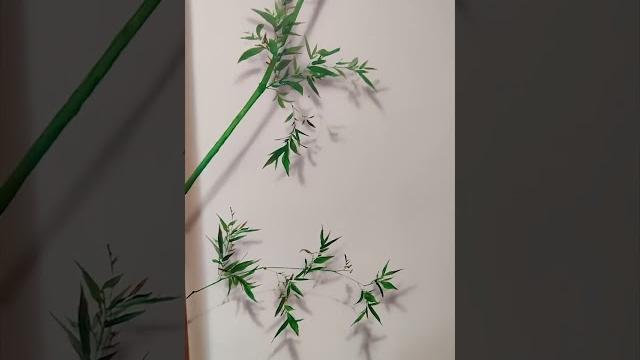 3d mural with a shadow! 墙绘达人:立体的植物 3d mural with a shadow! 墙绘达人:立体的植物
