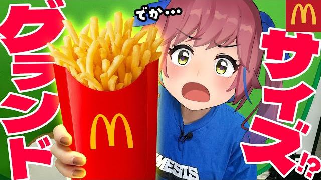 【マクドナルド】lサイズ超え!?「グランドポテト」は本当にお得なのか? 【マクドナルド】lサイズ超え!?「グランドポテト」は本当にお得なのか?
