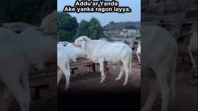 Addu’ar yanka abun layya Addu’ar yanka abun layya