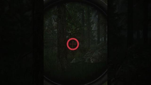 Про оптику в таркове ● побег из таркова ● tarkov ● eft ● коллиматоры ● лучший прицел тарков Про оптику в таркове ● побег из таркова ● tarkov ● eft ● коллиматоры ● лучший прицел тарков