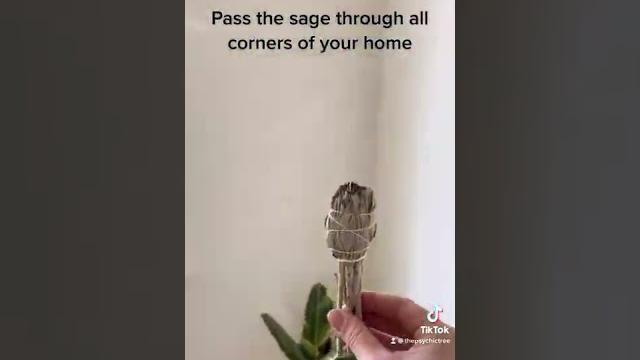How to sage cleanse your home How to sage cleanse your home