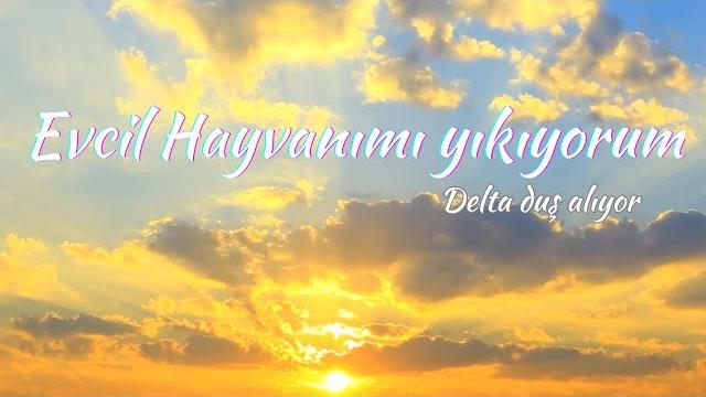Evci̇l hayvanimi yikiyirum | delta duş vlog () Evci̇l hayvanimi yikiyirum | delta duş vlog ()