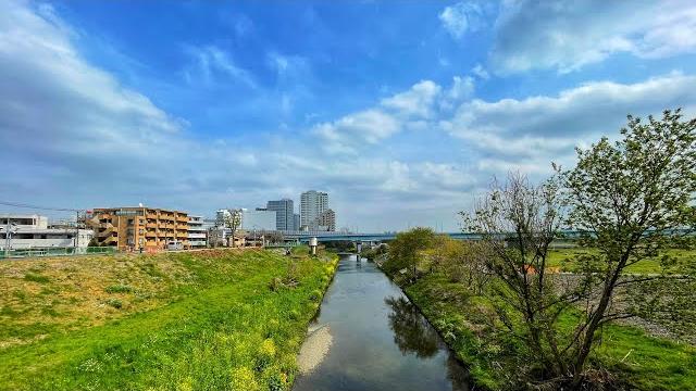 Live tokyo walk - tamagawa sakura hunt Live tokyo walk - tamagawa sakura hunt