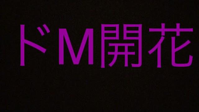 最後まで見るとドm確定!?ドm豚さん用asmr!ビンタあり!! 最後まで見るとドm確定!?ドm豚さん用asmr!ビンタあり!!