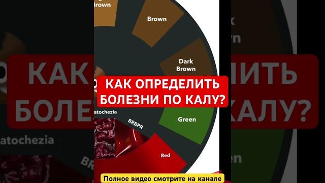 Кал плавает? это значит… Кал плавает? это значит…