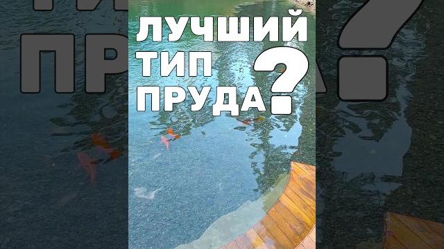 Бассейн + пруд = био-бассейн. без химии. гибридный тип пруда на участке и его плюсы #пруд Бассейн + пруд = био-бассейн. без химии. гибридный тип пруда на участке и его плюсы #пруд