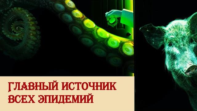 Главный источник всех эпидемий Главный источник всех эпидемий