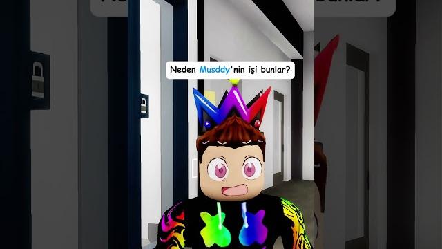Yer değiştirdik ama firacher ağlamaya başladı! Yer değiştirdik ama firacher ağlamaya başladı!