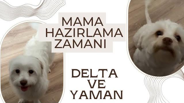 Mama hazırlama zamanı | delta ve yaman Mama hazırlama zamanı | delta ve yaman