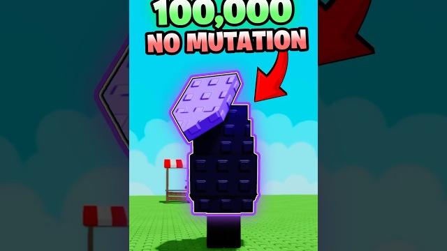 Is moon mango the best for money? Is moon mango the best for money?