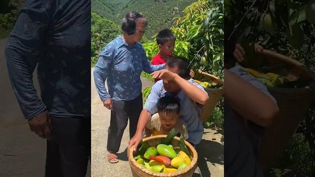 The mangoes of us poor people are very tasty and we grow them on the hilly areas of rural areas The mangoes of us poor people are very tasty and we grow them on the hilly areas of rural areas