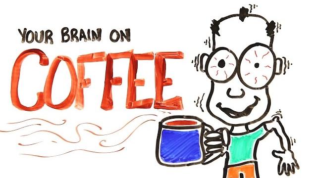 Your brain on coffee Your brain on coffee