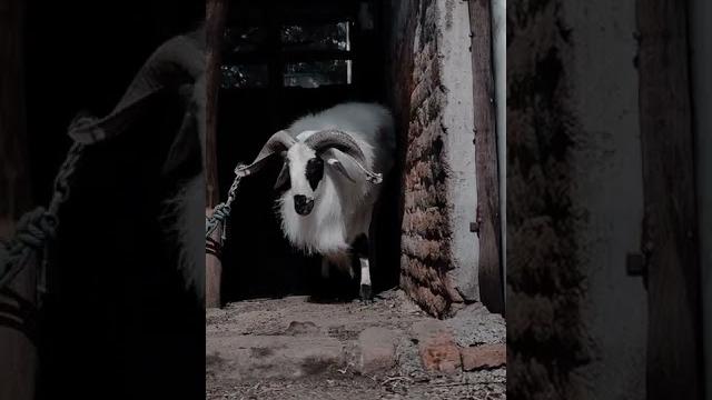 Muttu kida whatsapp status Muttu kida whatsapp status