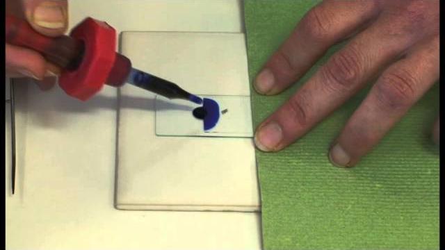 Preparing a microscope slide Preparing a microscope slide