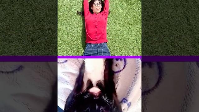 Japanese girl vs cats - can you spot the difference? Japanese girl vs cats - can you spot the difference?