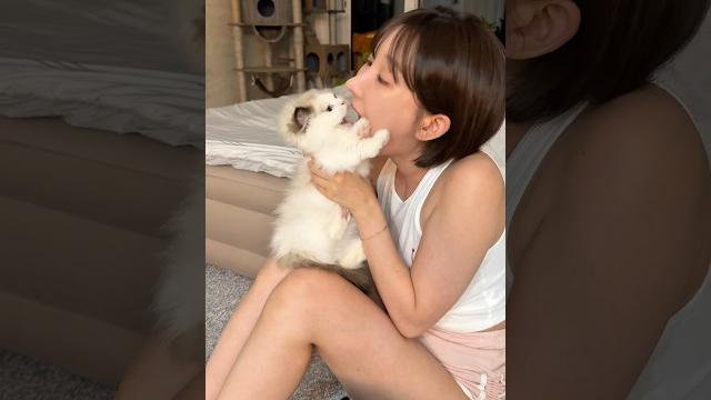 고양이에게 입냄새를 맡게 해주면... 고양이에게 입냄새를 맡게 해주면...