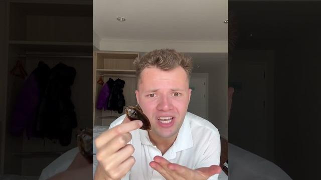 Пробуем сушёных насекомых 🪳 #shorts Пробуем сушёных насекомых 🪳 #shorts