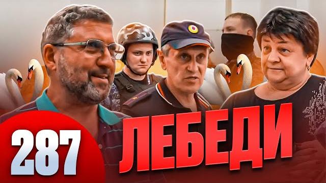 Смерть в операционной / собака умерла в ветклинике Смерть в операционной / собака умерла в ветклинике