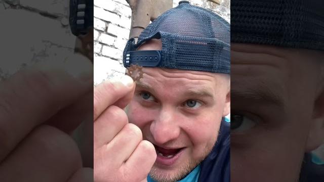Батя и металлоискатель (смешное видео, приколы, юмор, поржать) Батя и металлоискатель (смешное видео, приколы, юмор, поржать)