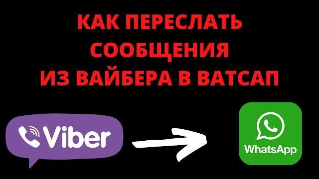 Как переслать с вайбера на ватсап Как переслать с вайбера на ватсап