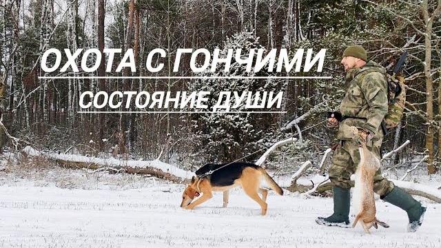 Охота на зайца с гончими.отличный день Охота на зайца с гончими.отличный день