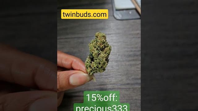 Twin buds 🪴 Twin buds 🪴