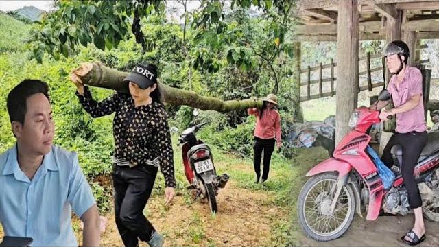 The girl cut down the tree to build a house, her husband began to carry out his evil intentions The girl cut down the tree to build a house, her husband began to carry out his evil intentions