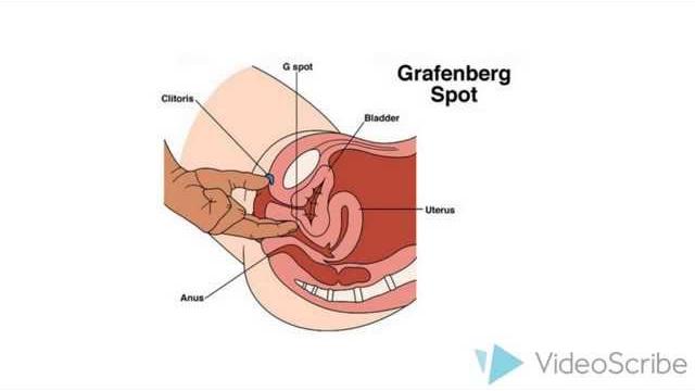 How to make a girl squirt How to make a girl squirt
