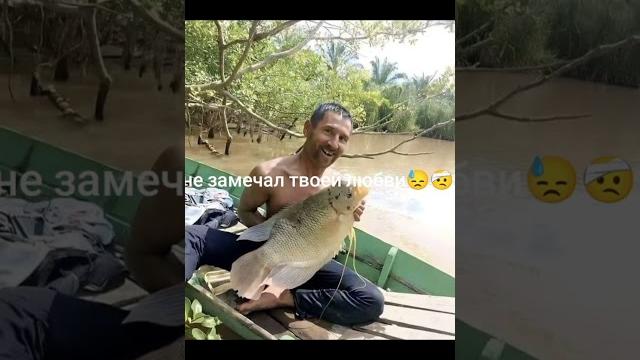 #вирус #раналду #врек #поржать #вирус #раналду #врек #поржать