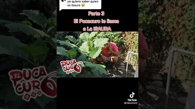 El pucacuro El pucacuro