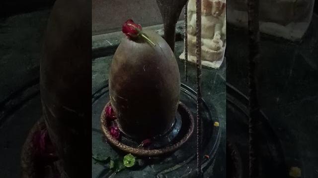 Mahakal ki gulami mere kam a rahi hai #mahakal #mahadev #shiv ji #viralvideo #video #viralshorts Mahakal ki gulami mere kam a rahi hai #mahakal #mahadev #shiv ji #viralvideo #video #viralshorts
