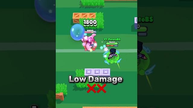 Rank 30 bibi guide Rank 30 bibi guide
