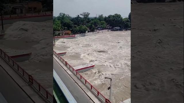 Koshi barreje nepal #koshi #koshibridge #comedyfilms #shortvideo #funny #viralvideo #funny Koshi barreje nepal #koshi #koshibridge #comedyfilms #shortvideo #funny #viralvideo #funny