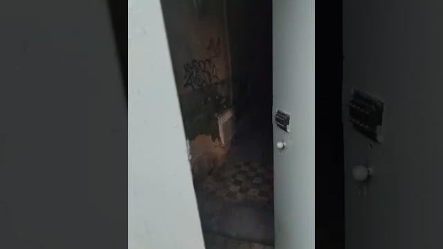 Vid 20240620 185455 Vid 20240620 185455