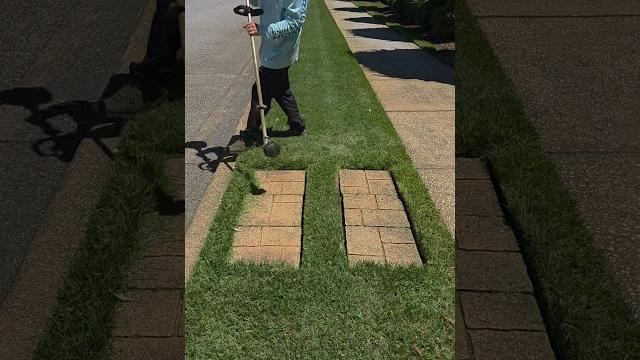 String edge for these stepping stones #lawncare #satisfying #lawn #lawnmaintenance #edge String edge for these stepping stones #lawncare #satisfying #lawn #lawnmaintenance #edge
