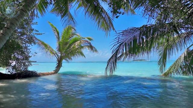 Ocean ambience on a tropical island (maldives) with soothing waves & paradise view for relaxation. Ocean ambience on a tropical island (maldives) with soothing waves & paradise view for relaxation.