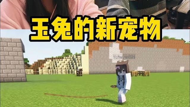 我和渣渣辉成玉兔的小狗了? 我和渣渣辉成玉兔的小狗了?