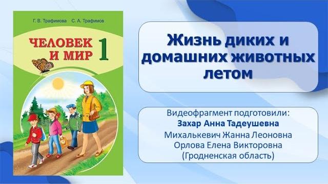 Тема 23. жизнь диких и домашних животных летом Тема 23. жизнь диких и домашних животных летом