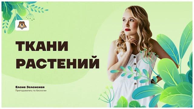 Ткани растений 6 класс | огэ по биологии | умскул Ткани растений 6 класс | огэ по биологии | умскул