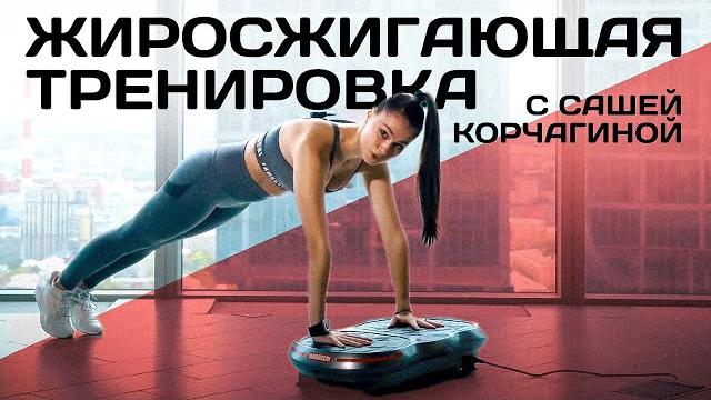 Жиросжигающая тренировка на виброплатформе #ямогучий Жиросжигающая тренировка на виброплатформе #ямогучий