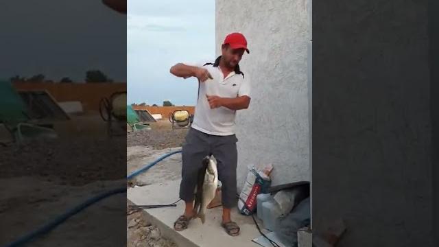 Рыбалка река или казахстан рыба жерих Рыбалка река или казахстан рыба жерих
