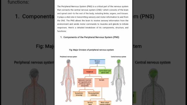 #peripheral#nervous system# pns#nursing#physiology #health #medical#youtube#ytshorts #science #peripheral#nervous system# pns#nursing#physiology #health #medical#youtube#ytshorts #science