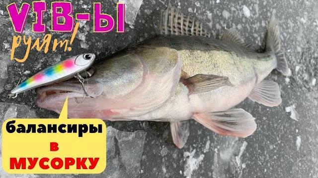 Судак разорвал vibы! раздача судака на вибы со льда. виб - супер-приманка для судака. vib Судак разорвал vibы! раздача судака на вибы со льда. виб - супер-приманка для судака. vib