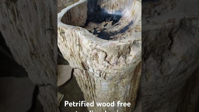 Making petrified wood free standing basin, washbasin and sinks # #sink #washbasins #petrifiedwood Making petrified wood free standing basin, washbasin and sinks # #sink #washbasins #petrifiedwood