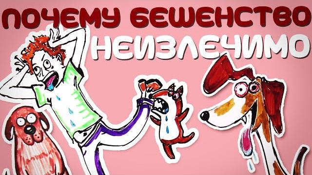 Почему бешенство неизлечимо? — научпок Почему бешенство неизлечимо? — научпок