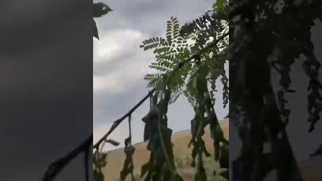 Azov special ops take out russian infantry fighting vehicle with us javelin missile #shorts Azov special ops take out russian infantry fighting vehicle with us javelin missile #shorts