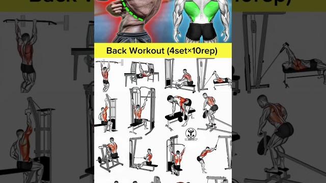 Back workout at gym | back workout with dumbbells | back workout at home big back workout #shorts Back workout at gym | back workout with dumbbells | back workout at home big back workout #shorts