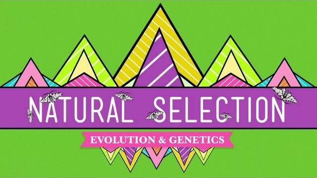 Natural selection - crash course biology #14 Natural selection - crash course biology #14