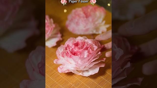 Tissue paper flower please subscribe if you like my video Tissue paper flower please subscribe if you like my video